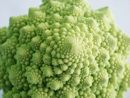 Broccolo Romanesco.jpg