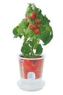 tomatosaibai-kit.jpg