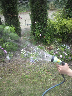 water8.jpg